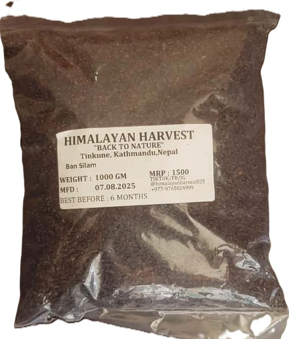 Ban Silam | Wild Mint